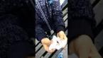 DIY - Как сделать лизун своими руками