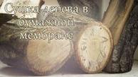 Сушка дерева в бумажной мембране. Интересный способ высушить дерево в домашних условиях