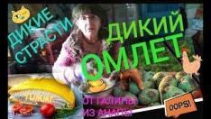 ДИКИЙ ОМЛЕТ ОТ ГАЛИНЫ ИЗ АНАПЫ I КАК ПРИГОТОВИТЬ ОМЛЕТ ДЛЯ 9 КОШЕК